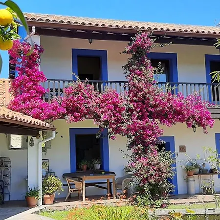 La Cerra Villaviciosa (Asturias)